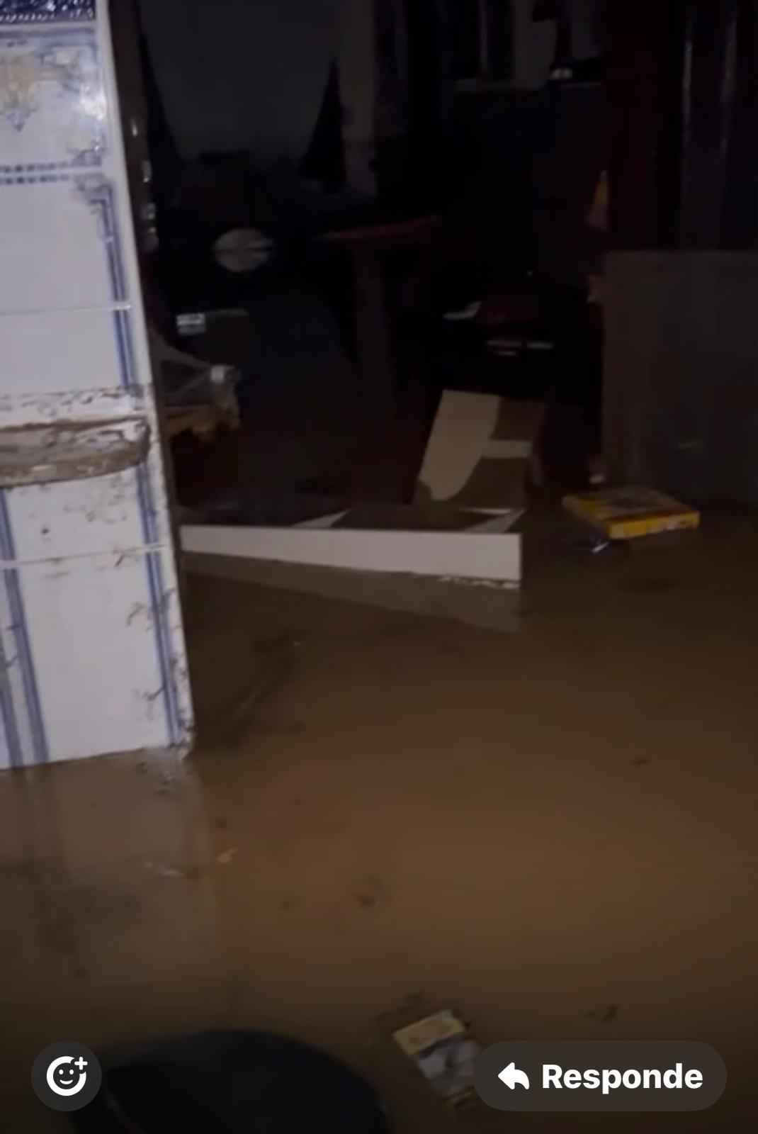 Foto de ASUNCIÓN FOLGADO SORIANO